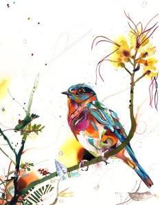 chirp-96-desert-bird-of-paradise